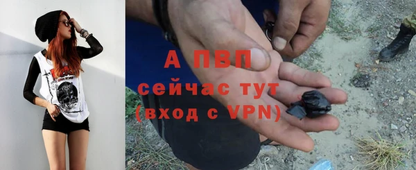 дживик Майский