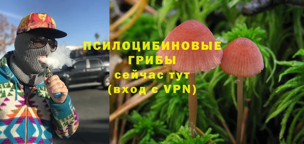MESCALINE Арсеньев