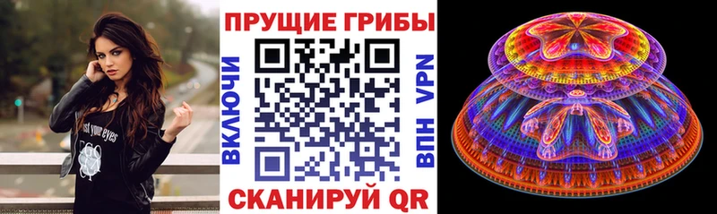 площадка как зайти blacksprut Мытищи Галлюциногенные грибы MAGIC MUSHROOMS